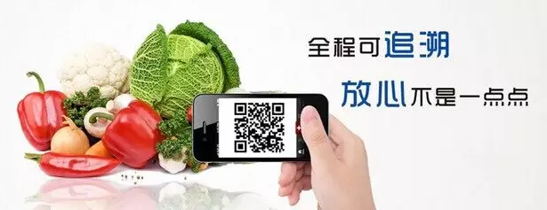 二维码食品追溯“互联网+食品”背后的“马太效应”